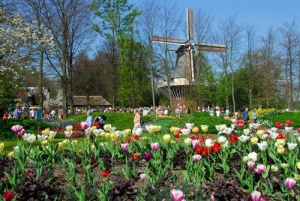 Keukenhof byla původně květinová zahrada holandského vévody Jacoba van Beyeren.