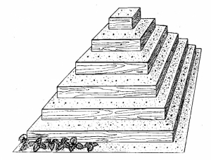 Ke stavbě jahodové pyramidy nám postačí jen vyměřená čtvercová plocha, pár vhodných prkýnek a dostatek zeminy. Prohnojit je třeba vždy pouze zeminu na obvodu pyramdy, do které budeme sázet vlastní rostliny.