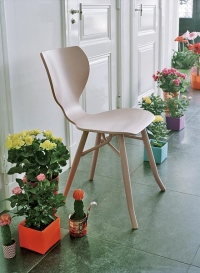 RŮŽE (Rosa)