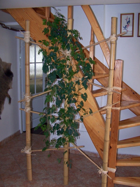 Vylepšené schodiště