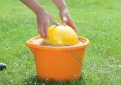 2) Do písku vtlačíme polovinu míče, podržíme ho v hloubce cca 0,5 cm pod jeho maximálním obvodem (pokud má míč po obvodu šev, držíme se této linie).
