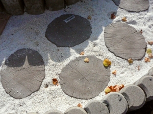 BARK letokruhy
