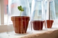 Vázu BLADET designérky Anne Nilssonové můžete využít v kuchyni jako malý skleník. 30 cm vysokou vázu z čirého skla prostě obraťte a vytvořte si tak jednoduše malý skleník pro bylinky. Cena 149 Kč.
