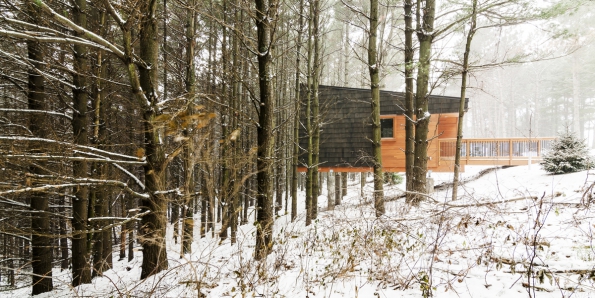 2016 AIA Housing Awards: Chatky v chráněné oblasti Whitetail Woods, Minnesota (Foto: Pete VonDeLinde)