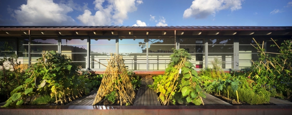 2016 AIA Housing Awards: Island Residence, foto: Nic Lehoux