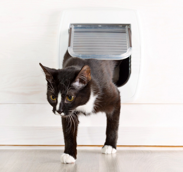 Některá dvířka nabízejí možnost otevírání pomocí magnetického klíče, který kočce upevníte na obojek, případně jí veterinář aplikuje mikročip, takže dvířky bude moci projít pouze ona.