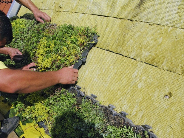 Podkladem zeleně může být speciální hydrofilní minerální vlna. Desky jsou podobné běžné tepelné izolaci, materiál je vzdušný, lehký a dokáže akumulovat vodu (ISOVER)