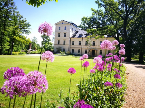 9. Chateau Mcely, sen nejnáročnějších hostů: Unikátní zámecký hotelový komplex, který vybudovali manželé Inéz a Jamesi Cusumanovi, nabízí perfektní servis, špičkovou gastronomii a romantický genius loci. Toto místo vás nadchne na první pohled. Každičký detail je vyladěn k dokonalosti tak, aby pobyt zde byl prostě nezapomenutelný. Vybrat si můžete z 24 luxusních pokojů a apartmá. Každý z nich má vlastní styl i jméno.