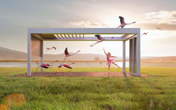 Pergola představuje ve svém tradičním pojetí dřevěnou konstrukci, jejímž posláním bývá chránit prostor hlavně před přemírou slunce. Pergoly jsou na českých zahradách a terasách rodinných domů častými, účelnými a velmi oblíbenými stavbami. (Zdroj: Pergola-Renson.cz)