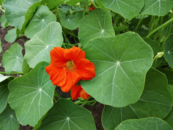 09