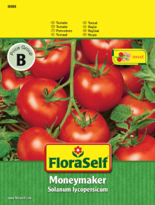 Rajče Moneymaker FloraSelf (Zdroj: Hornbach)